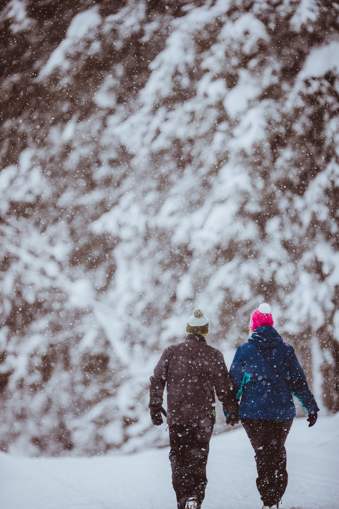Export x3 1DX28954 Verlobungsfotoshooting 2018 Anna & Dominik